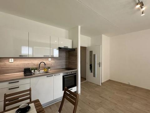 Pronájem bytu 1+kk, Brno, Švermova, 30 m2