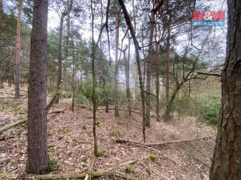 Prodej lesa, Miloňovice - Sudkovice, 2768 m2