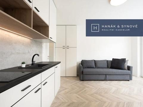Pronájem bytu 1+kk, Brno, Cejl, 29 m2