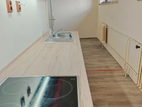 Pronájem bytu 1+1, Kozojedy, 48 m2