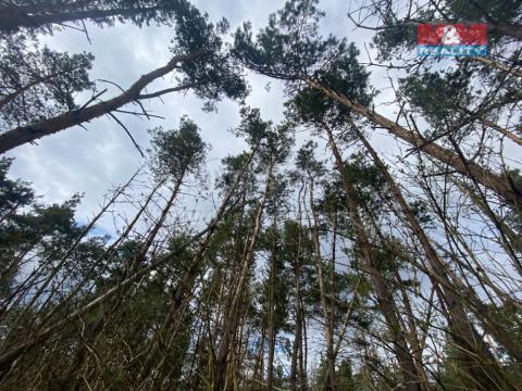 Prodej lesa, Slavičky - Pozďátky, 2084 m2