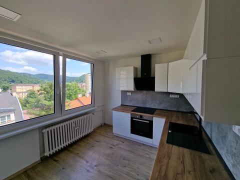 Pronájem bytu 2+1, Děčín, Plavební, 56 m2