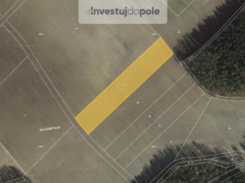 Prodej louky, Cheznovice, 7448 m2
