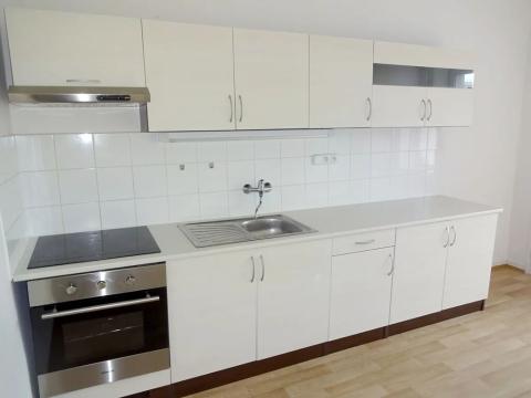 Pronájem bytu 1+1, Brno, Palackého třída, 55 m2