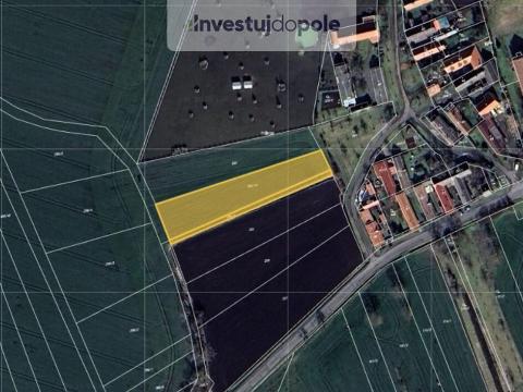 Prodej pole, Okřínek - Srbce, 1020 m2