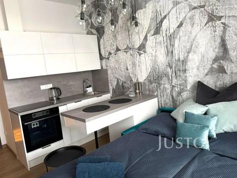 Pronájem bytu 1+kk, Písek, Vladislavova, 20 m2