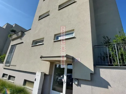 Pronájem atypického bytu, Brno, Kamechy, 120 m2