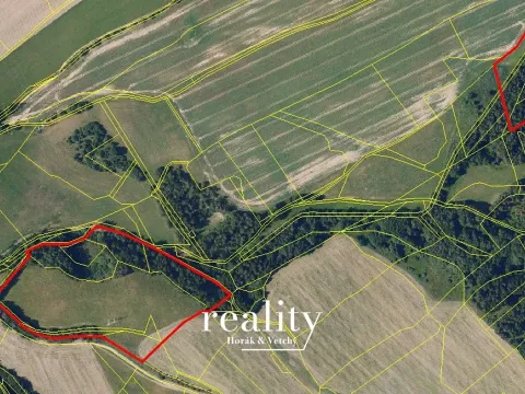 Prodej lesa, Vojnův Městec, 51174 m2