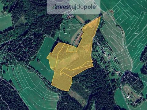 Prodej lesa, Valašská Senice, 54930 m2