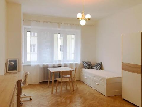 Pronájem bytu 1+kk, Brno, Cihlářská, 26 m2