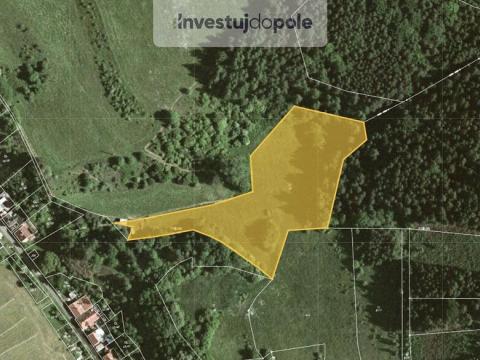 Prodej louky, Stvolová - Skřib, 9632 m2
