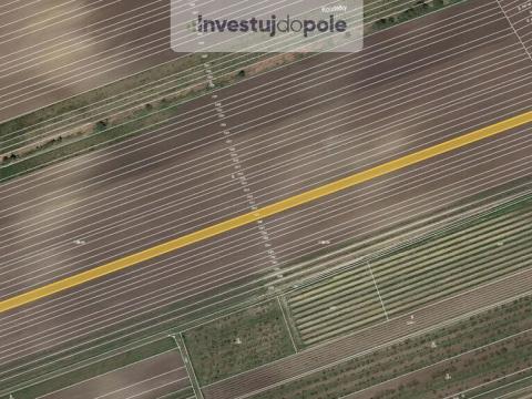 Prodej pole, Velké Pavlovice, 3452 m2