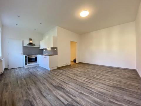 Pronájem bytu 1+kk, Ostrava, Hasičská, 40 m2