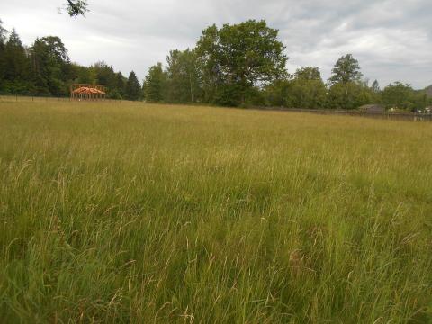 Prodej pozemku, Rybniště, 5198 m2