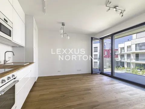 Pronájem bytu 2+kk, Praha - Holešovice, U průhonu, 48 m2