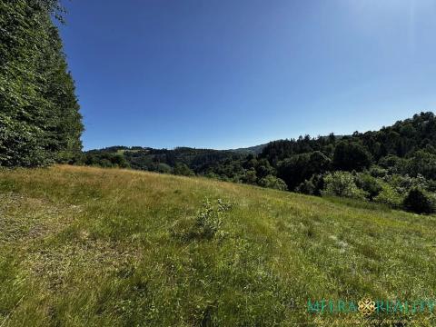 Prodej pozemku pro bydlení, Velká Lhota, 11334 m2
