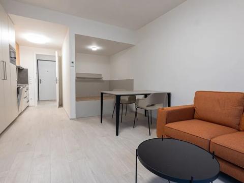 Pronájem bytu 1+kk, Praha - Žižkov, Hartigova, 34 m2