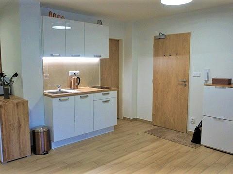 Pronájem bytu 2+kk, Brno - Husovice, náměstí Republiky, 48 m2