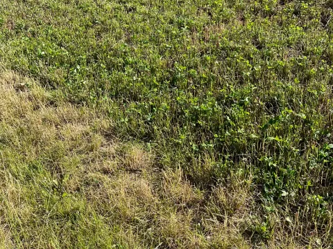 Prodej pole, Žďár nad Sázavou, 6249 m2