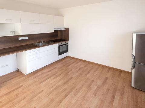 Pronájem bytu 1+1, České Budějovice - České Budějovice 6, Křižíkova, 40 m2