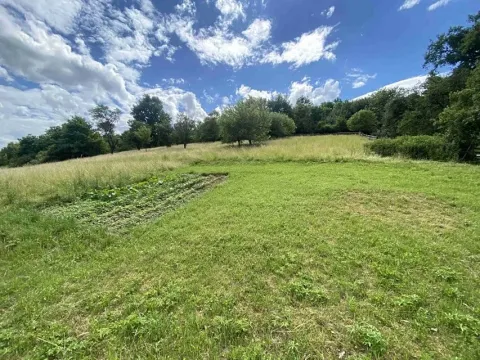 Dražba pozemku, Šarovy, 1000 m2