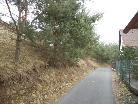 Dražba louky, Hradec nad Svitavou, 683 m2