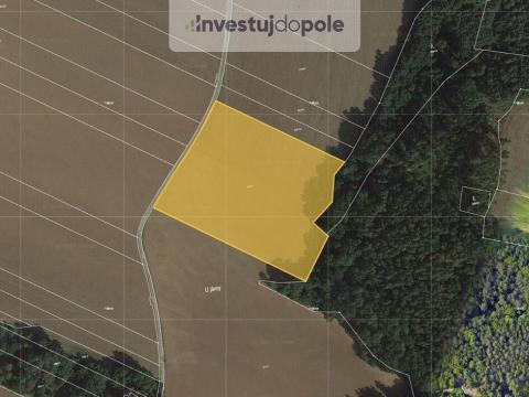 Prodej pole, Plzeň - Radčice, 3545 m2