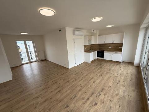 Pronájem bytu 1+kk, Brno, Křenová, 61 m2