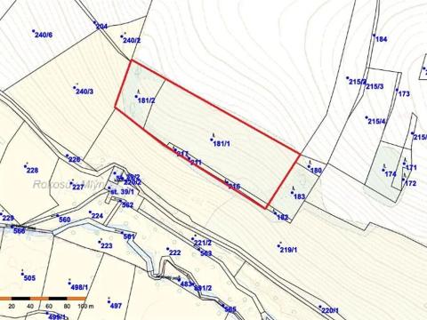 Prodej lesa, Mladé Bříště, 13440 m2