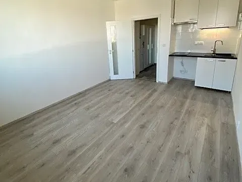 Pronájem bytu 1+kk, Brno, Halasovo náměstí, 23 m2