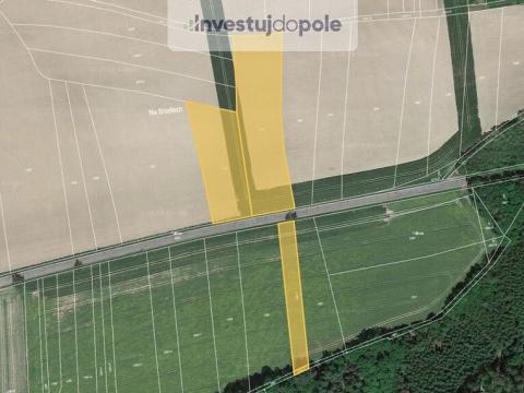 Prodej pole, Nové Město nad Metují, 9860 m2