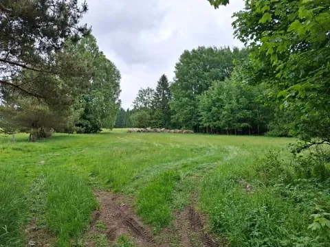 Prodej pozemku, Lesná, 2070 m2