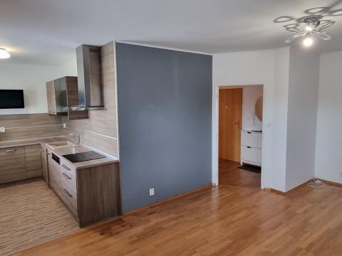 Pronájem bytu 2+kk, Brno, Ludmily Konečné, 57 m2