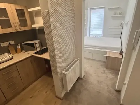 Pronájem bytu 1+kk, Olomouc, 33 m2