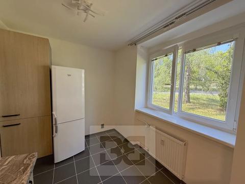 Pronájem bytu 1+1, Neratovice, Školní, 30 m2