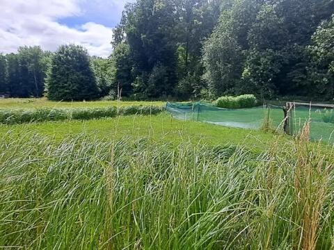Pronájem zahrady, Tišice, 800 m2