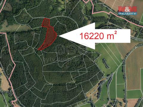 Prodej lesa, Petrovice - Mezihoří, 16220 m2