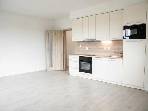 Pronájem bytu 1+kk, Heřmanova Huť, U Pondu, 34 m2