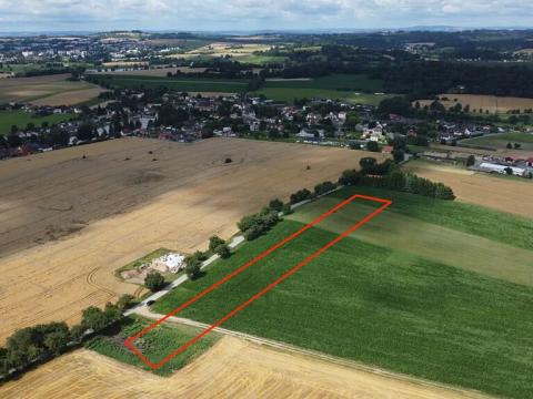Prodej pole, Čejov, 22502 m2