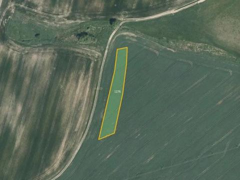 Prodej podílu pole, Vyklantice, 1378 m2
