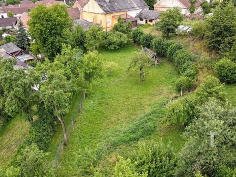 Prodej zahrady, Bělá u Jevíčka, 773 m2