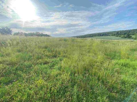 Prodej pozemku, Petrovice, 5404 m2