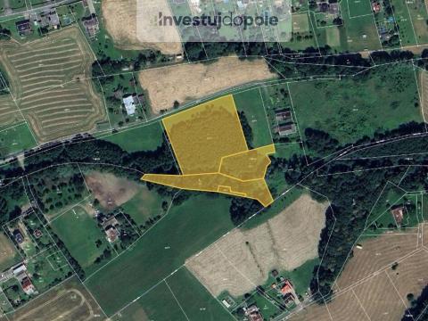 Prodej louky, Horní Bludovice, 11106 m2