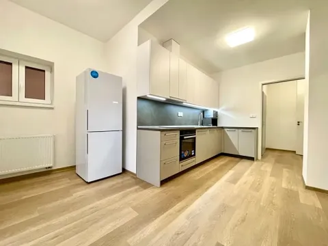 Pronájem bytu 2+kk, Plzeň, Mánesova, 53 m2