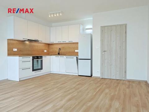 Pronájem bytu 2+kk, Plzeň, Nad Dvorem, 54 m2