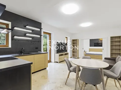 Pronájem bytu 2+kk, Praha - Bubeneč, Mlýnská, 58 m2