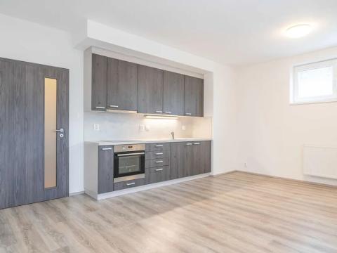 Pronájem bytu 1+kk, Heřmanova Huť, U Pondu, 34 m2