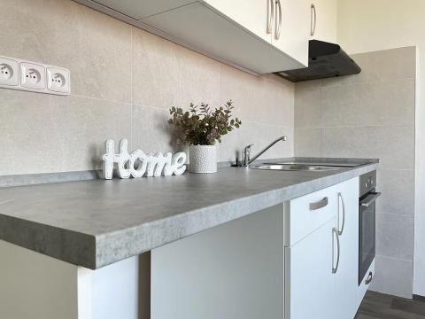 Pronájem bytu 1+1, Litvínov, U Bílého sloupu, 42 m2