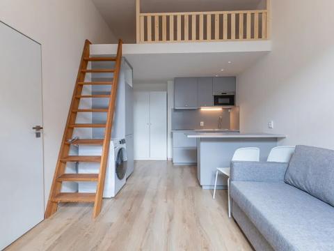 Pronájem bytu 1+kk, Praha - Holešovice, Na Maninách, 25 m2