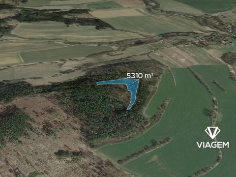 Prodej lesa, Pravonín, 5310 m2